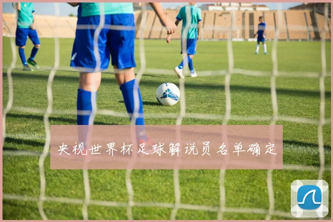 央视世界杯足球解说员名单确定